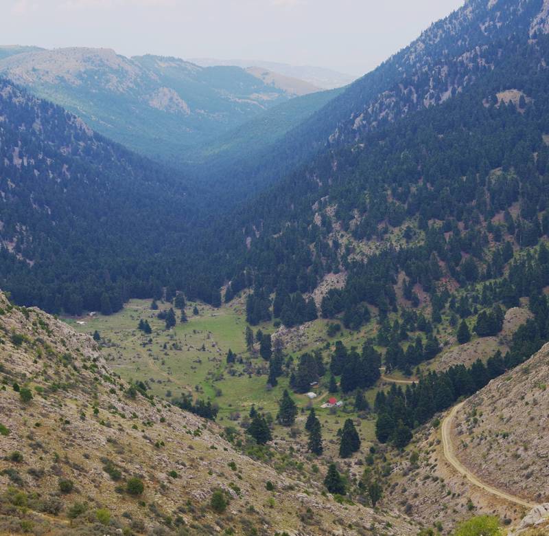 Ziria topoguide: The meadows at the upper point of the Flambouritsa ravine