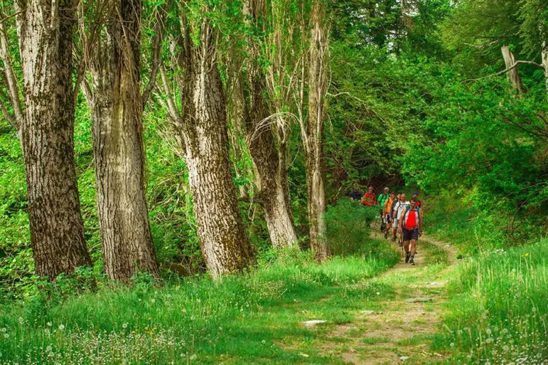 Long Pelion Trail