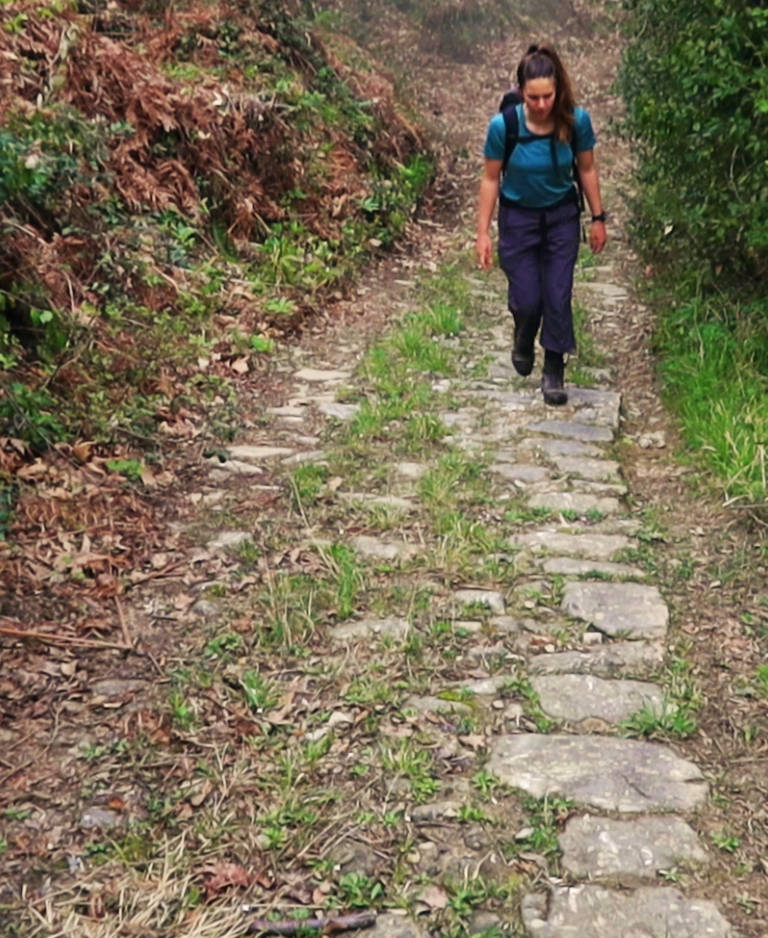 Long Pelion Trail: Στη διαδρομή Τσαγκαράδα-Μηλιές