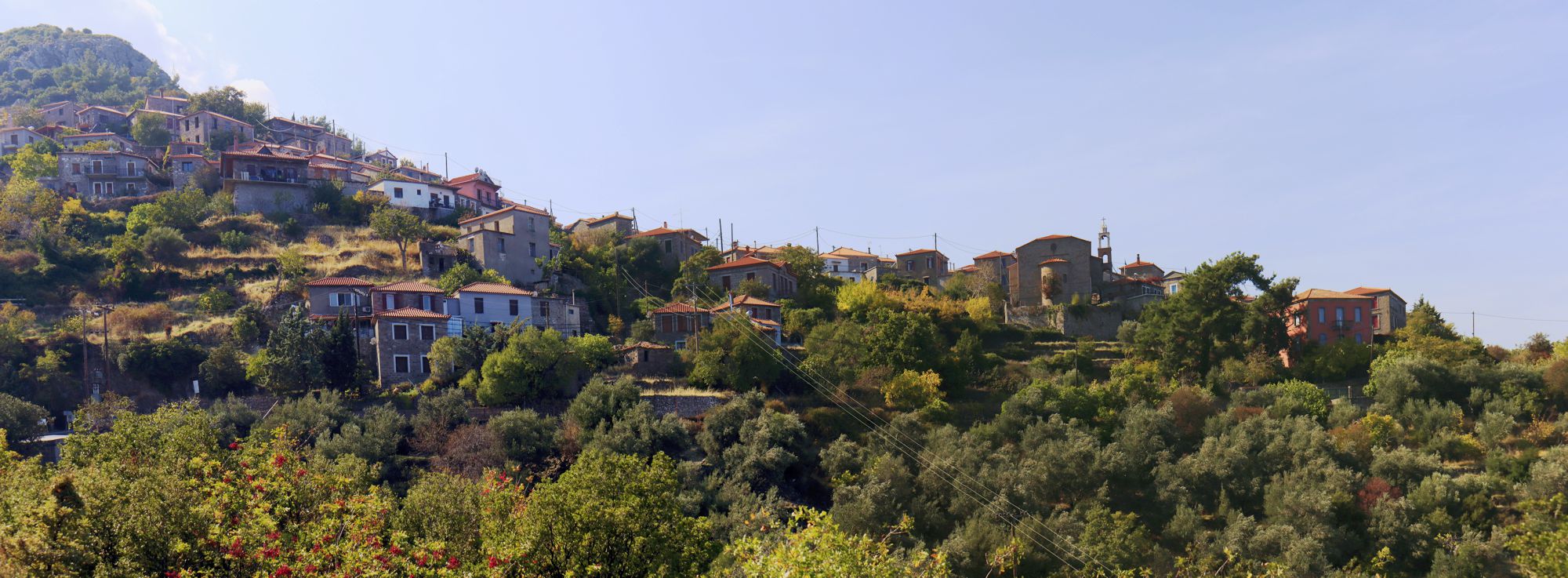 Συκαμιά-Λεπέτυμνος Ο Βαφειός