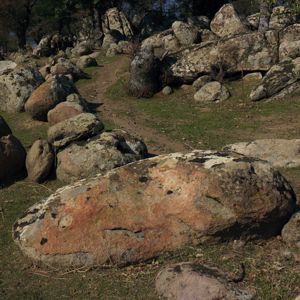 Βαφειός-Στύψη: O Ριζόραχτος Βαφειός-Στύψη