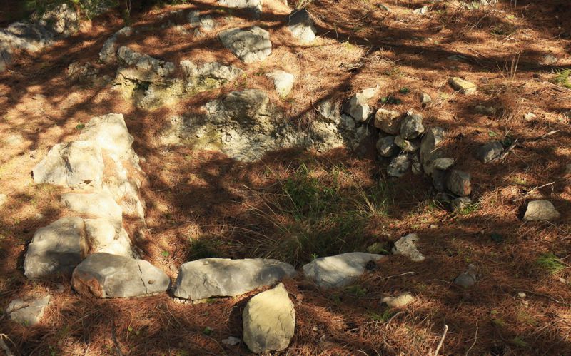 Η βλάστηση του Πόρου και της Τροιζηνίας: Ρετσινόλακκος στον Πόρο Πόρος-Τροιζηνία topoguide