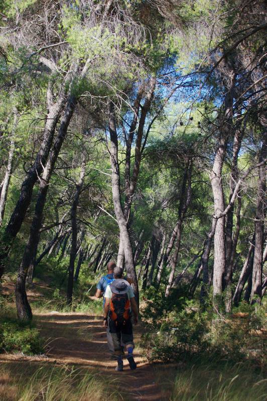 Σαλαμίνα: Στο δάσος της μονής Αγίου Νικολάου Μικρή Αττική topoguide