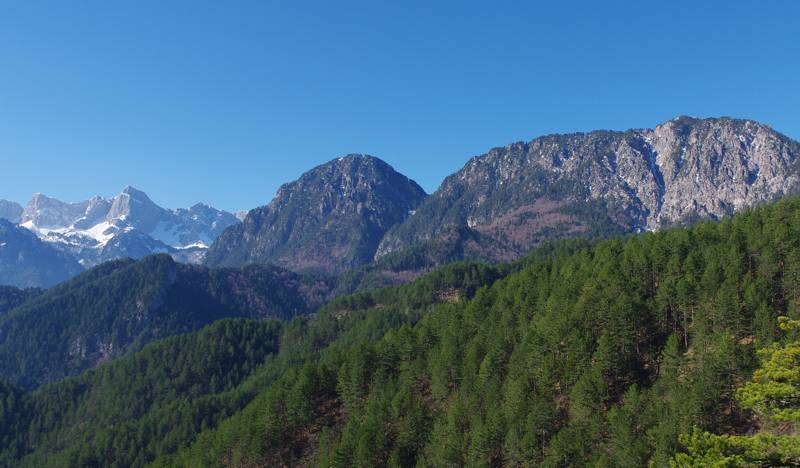 Mt Trapezitsa