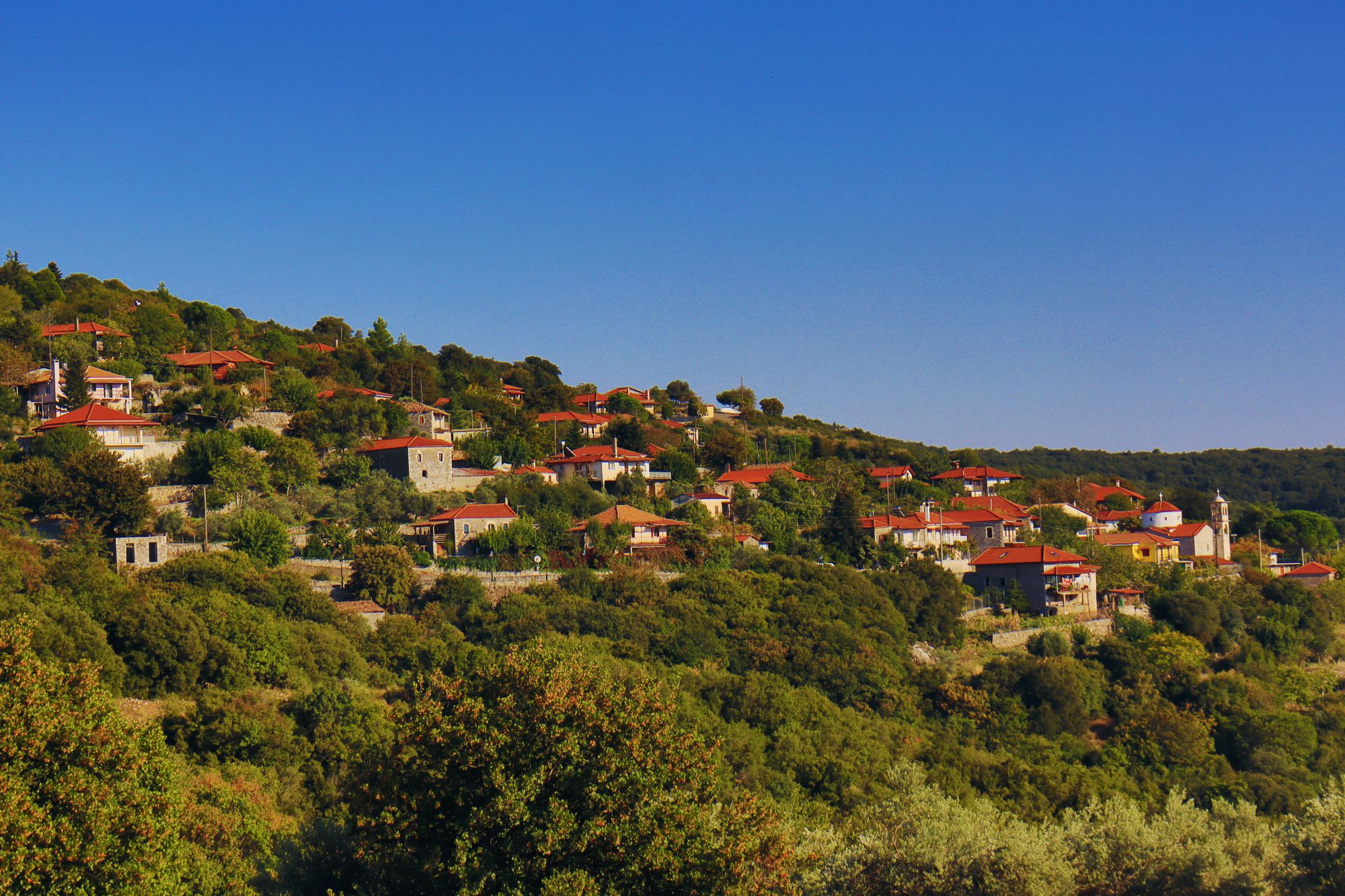 Το Ψάρι