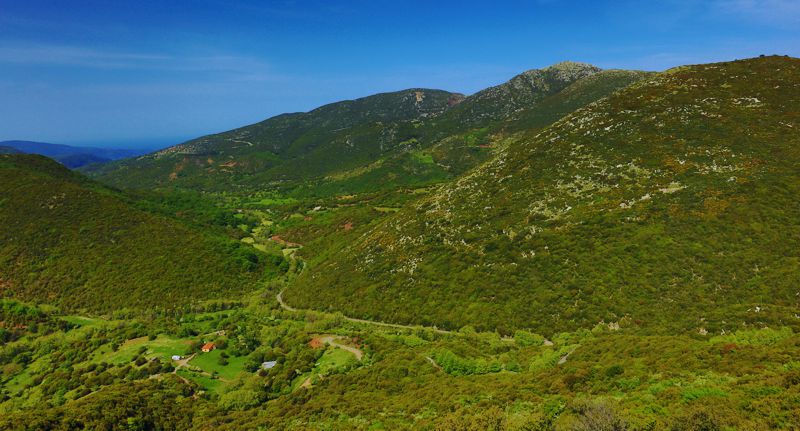 Συνδέσεις και επικοινωνίες στο χώρο του Λύκαιου: Η κοιλάδα του Πάμισου, στους πρόποδες της Μίνθης Συνδέσεις και επικοινωνίες στο χώρο του Λύκαιου: Η κοιλάδα του Πάμισου, στους πρόποδες της Μίνθης