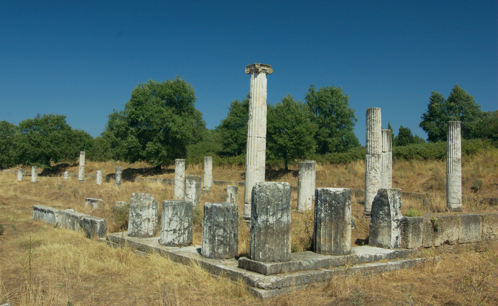 Μεγάλη Πόλις: Η αρχαία Αγορά Μεγάλη Πόλις: Η αρχαία Αγορά