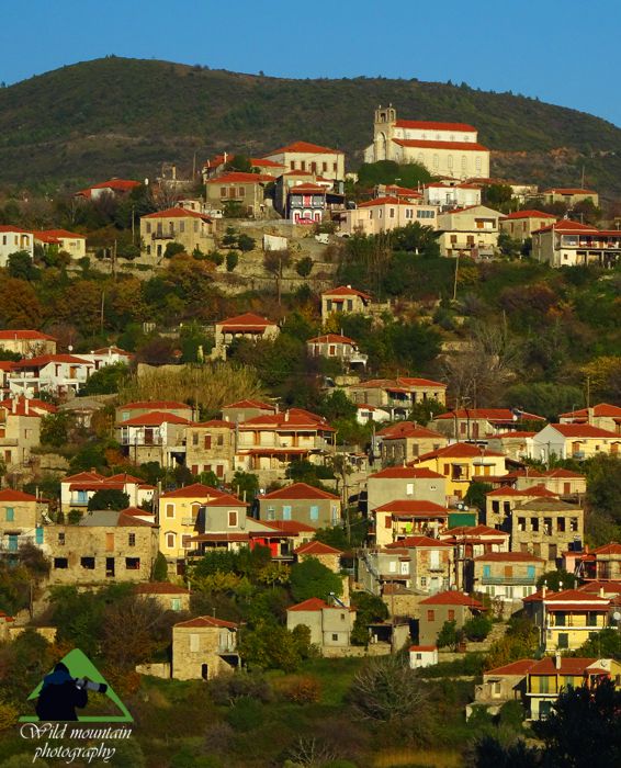 Κεντρική Εύβοια/Δίρφυς topoguide
