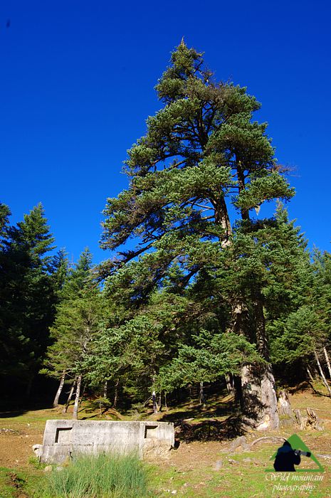 Κεντρική Εύβοια/Δίρφυς topoguide