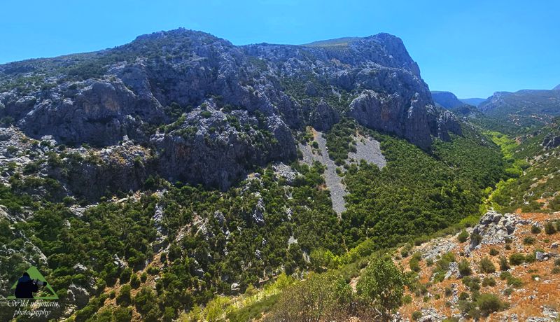 Κεντρική Εύβοια/Δίρφυς topoguide