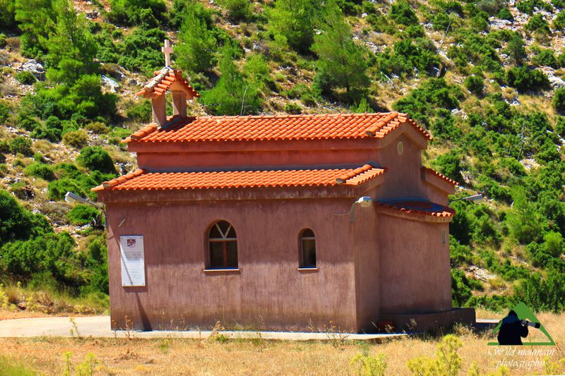 Κεντρική Εύβοια/Δίρφυς topoguide