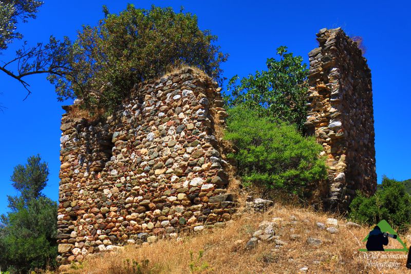 Κεντρική Εύβοια/Δίρφυς topoguide
