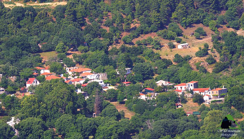 Το συγκρότημα του Πυξαριά: Ο οικισμός Παγώντας Δίρφυς topoguide