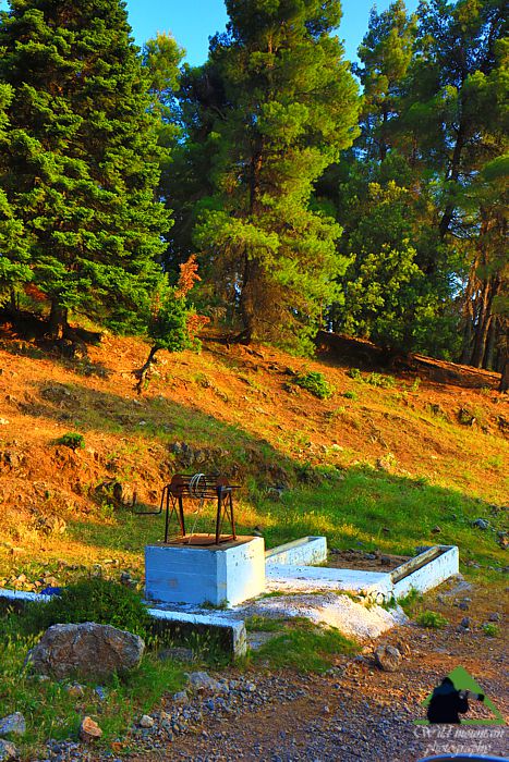 Το συγκρότημα του Πυξαριά: Το Πηγαδάκι στη Βουλιά, στην καρδιά του πευκοδάσους Δίρφυς topoguide