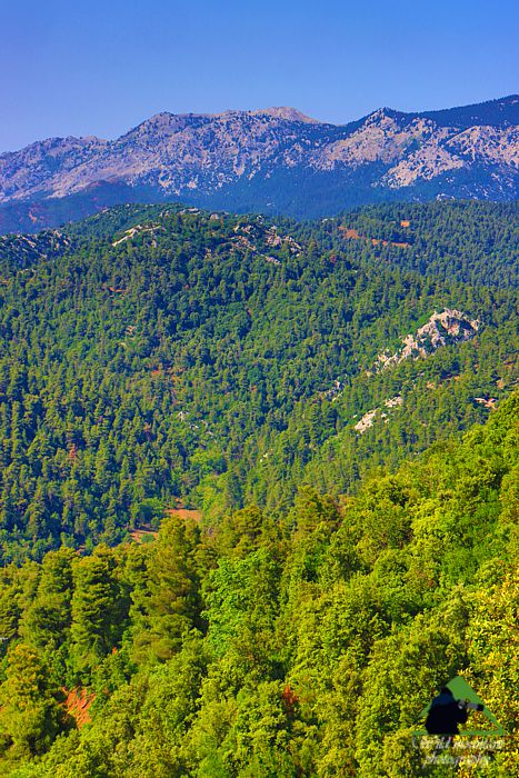 Το συγκρότημα του Πυξαριά Δίρφυς topoguide