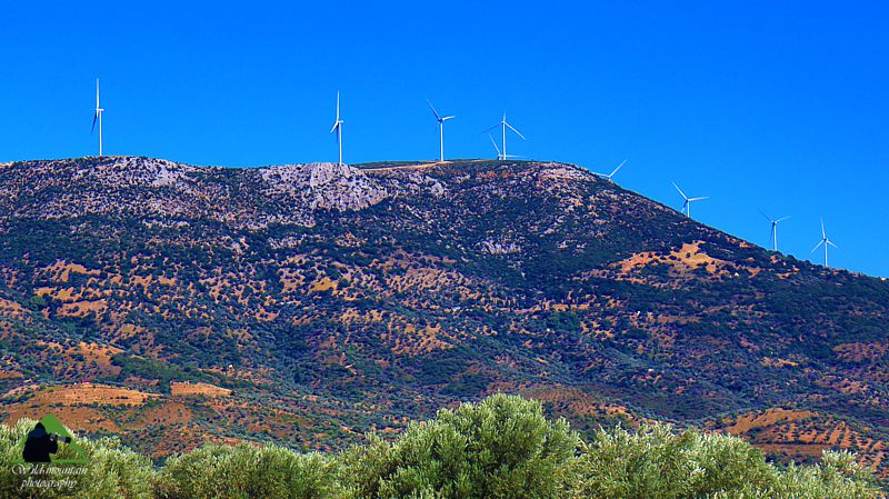 Το όρος Σερβούνι: Το αιολικό πάρκο της ΤΕΡΝΑ στη ράχη της κύριας κορυφής του βουνού Κεντρική Εύβοια/Δίρφυς topoguide