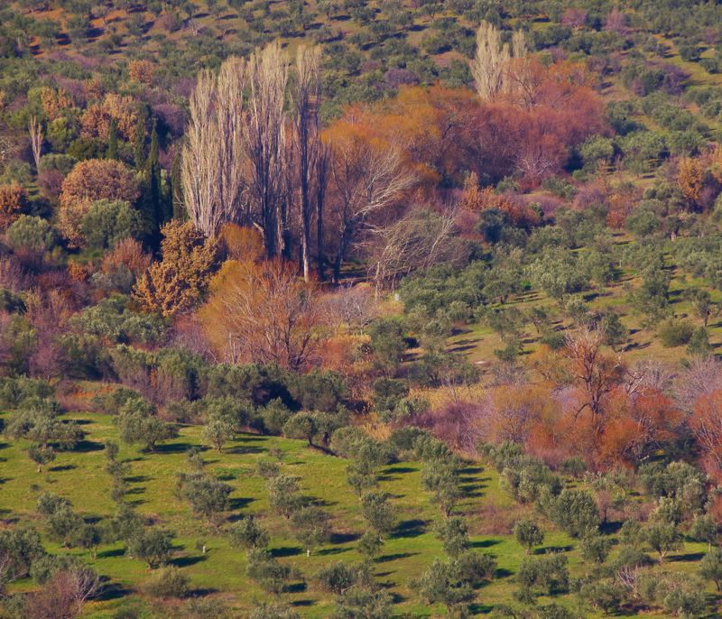Φαράγγι Κλεισούρας: Το αγροτικό τοπίο της λεκάνης της αρχαίας Στείριδας