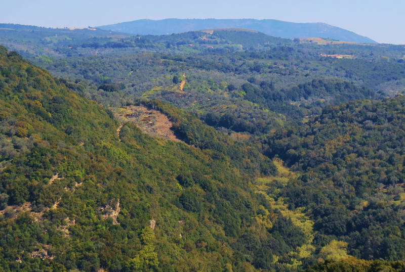 Long Pelion Trail: Οι δασωμένοι λόφοι γύρω από την Αργαλαστή