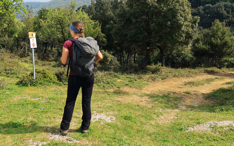 Long Pelion Trail: Ξεκινώντας από τον Προφήτη Ηλία προς το Βένετο