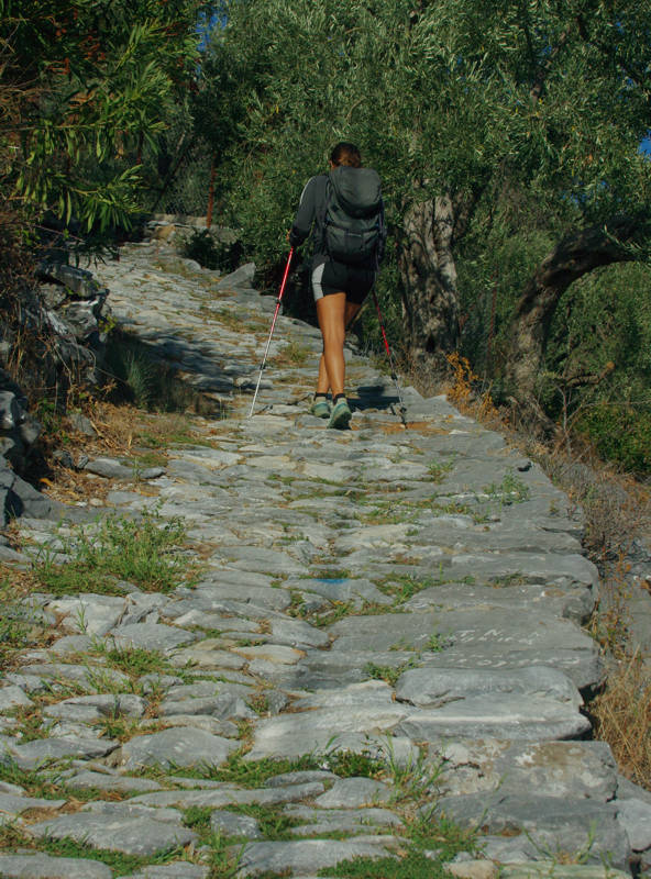 Δυτικό Πήλιο topoguide: Όλο σχεδόν το μήκος της ανάβασης μέχρι τον Σταυρό γίνεται σε ωραίο, παλιό καλντερίμι Δυτικό Πήλιο topoguide