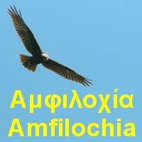 Περιοχή Αμφιλοχίας