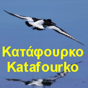 Μπούκα-Κατάφουρκο