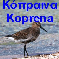 Η Κόπραινα