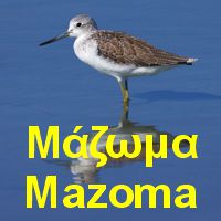 Λιμνοθάλασσα Μάζωμα