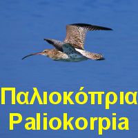 Τα Παλιοκόπρια