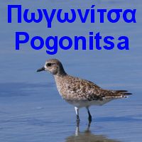 Λιμνοθάλασσα Πωγωνίτσα