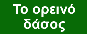 Η ζωή στο ελατόδασος