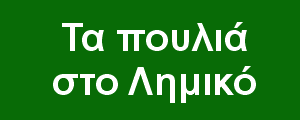 Τα πουλιά στο Λημικό