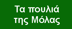 Τα πουλιά της Μόλας
