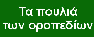 Τα πουλιά των οροπεδίων