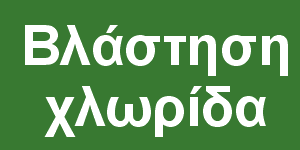 Βλάστηση & χλωρίδα
